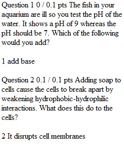 EXTRA CREDIT QUIZ